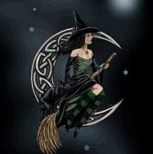 Meet your Posher, Dee